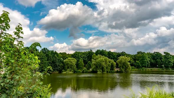 Calm lake in green city park.