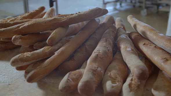 Cart with Fresh Baked Raisin Bread is Taken Out of the Oven Woman Baker Dressed in White