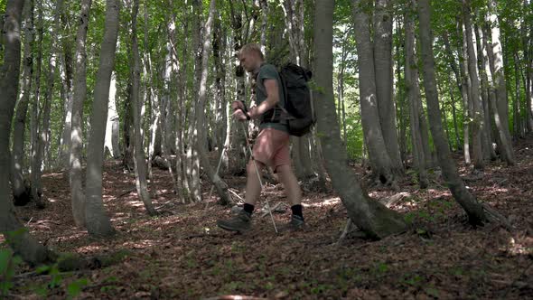 Tourist Man Hiker with Backpack and Trekking Poles Walking in Mountains Forest