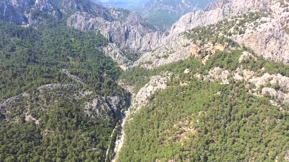 Deep Long Canyon Covered With Forest