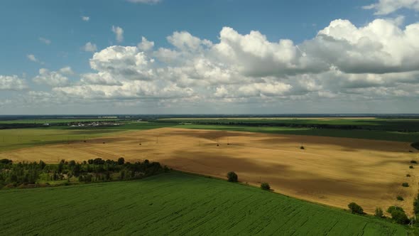 White Clouds Move Across the Sky Over Different Fields