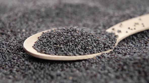 Dry poppy seeds fall into a wooden eco spoon in slow motion. Macro