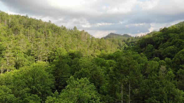 mountain forest horizon reveal ascending aerial drone georgia chattahoochee national forest