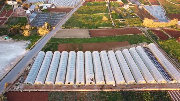 Lines of industrial greenhouses in farmland area of Malta, aerial view