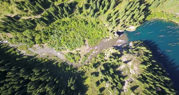 Coniferous Trees Rise From Depths of Mountain Lake