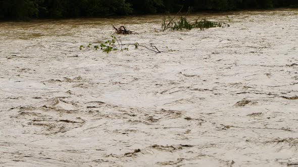 Dirty River Rubbish Pollution. Sewage Floating. Global Warming , Water Disaster