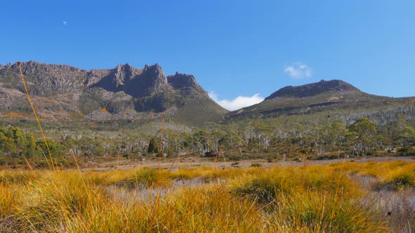 mt ossa and buttongrass plants on the overland track