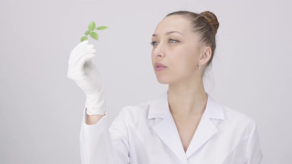 Young Attractive Scientist Looks at Plant Leaf on Laboratory White Background