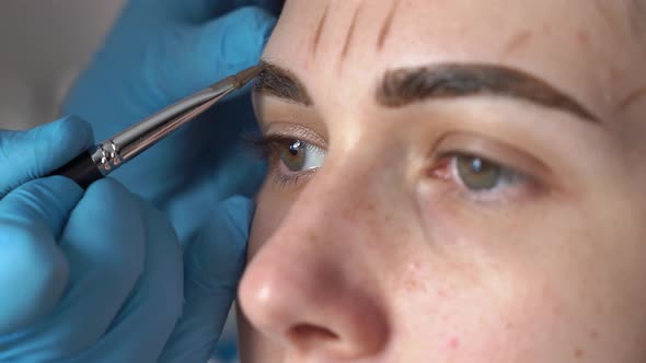 a Young Woman is Applied with a Brush Henna on Her Eyebrows