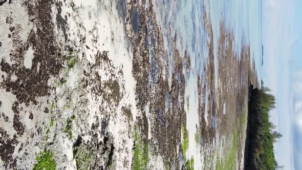 Vertical Video of Low Tide in the Ocean Near the Coast of Zanzibar Tanzania Aerial View