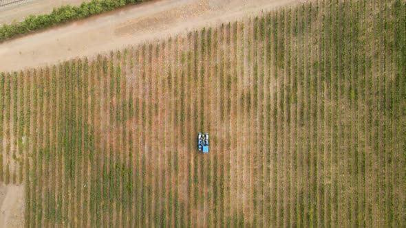 Overhead dolly out view of a blue grape harvester on a line in a vineyard in Talagante, Maipo Valley