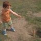 A Little Boy Happily Watching a Rodent in the Park - VideoHive Item for Sale