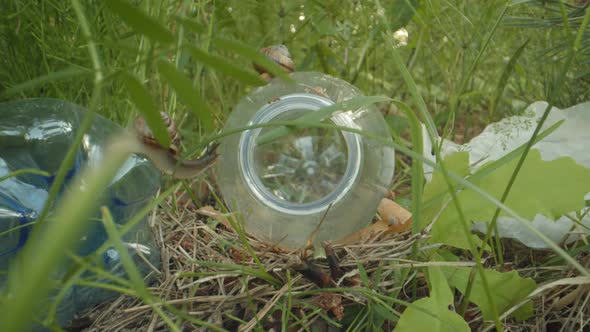 Plastic Waste in Nature Probe Lens Dolly Shot