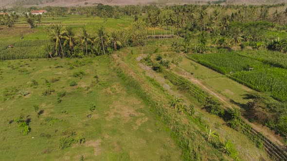 Agricultural Land in Indonesia