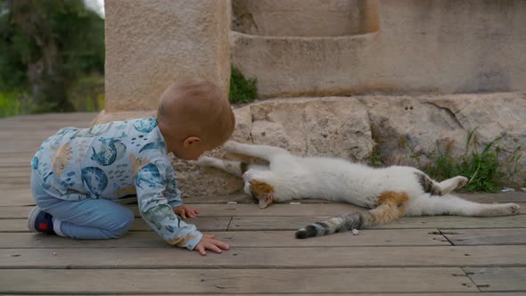 Blond Toddler Repeats Cat Position Lying on Wooden Planks