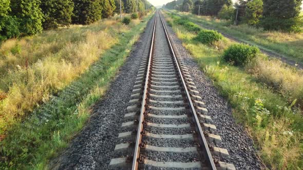 Direct railway through the forest.