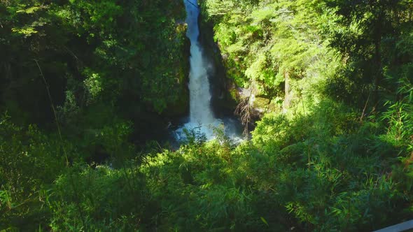 Beautiful waterfall surrounded by a forest of herbs invites us to take care of the planet.