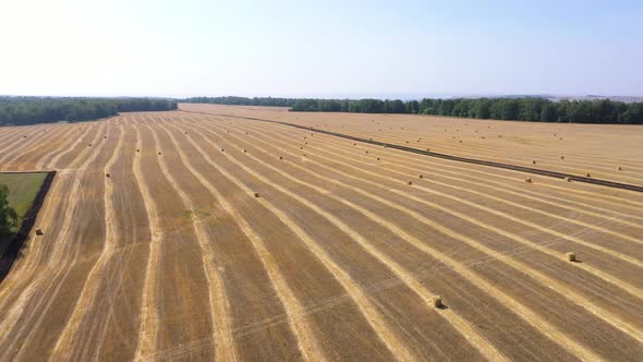 Aerial Footage of an Extensive Harvested Grain Field