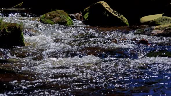 Closeup of River Between Stones in Forest - Detail of Flowing Water