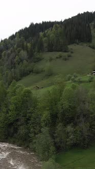 Carpathian Mountains