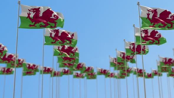 Wales Row Of  National flags  alt