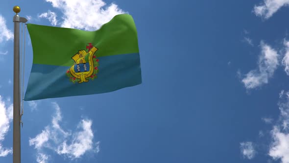 Veracruz City Flag (Mexico) On Flagpole