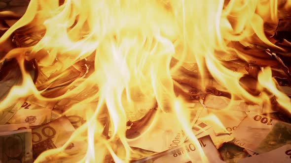 Burning of One Hundred Euro Banknotes Closeup