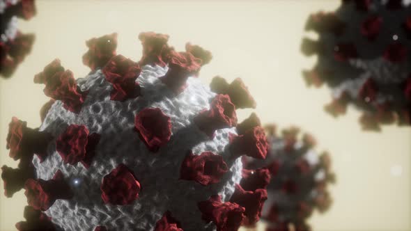 Corona Virus Covid 19 Macro Model alt