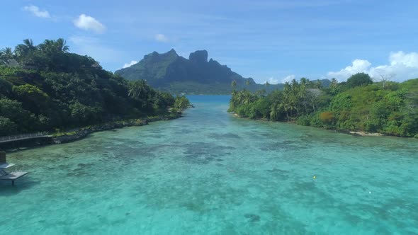 A woman swimming in a tropical green lagoon in Bora Bora tropical island