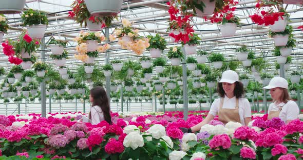Woman Choosing Flowers While Workers Taking Care of Plants