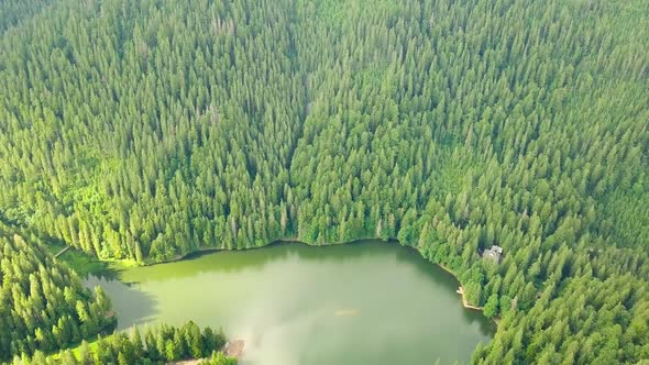 Aerial View Carpathian Mountings in Summer