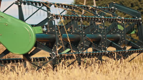 Close Up of Modern Combine Harvest Thrasher at Work. Low Angle