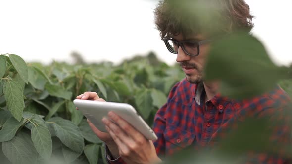 Farmer Uses a Tablet Computer on a Soy Field