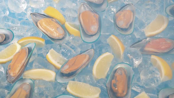 Seafood Mussels And Lemon Pieces In Chilled Vapor