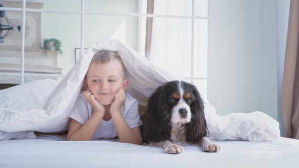 A Little Caucasian Boy Lies with His Best Friend a Pet Dog Under a Warm White Blanket on the Bed and