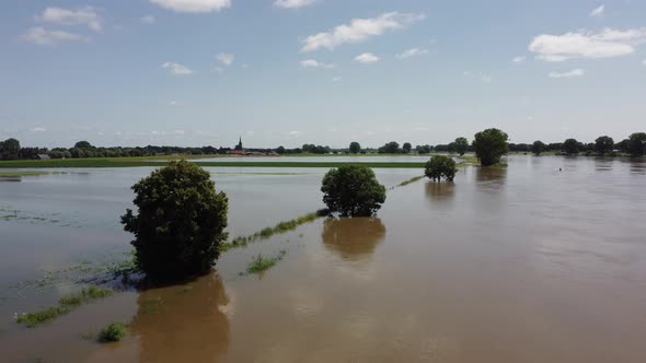 Floodplains and drowned trees at river Maas in the Netherlands, Aerial