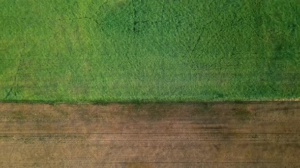 Slowly descending aerial shot above two different crop fields in the rural midwest of the USA. Top d