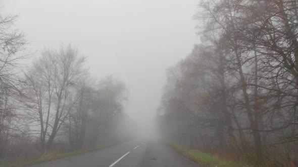 Curving Empty Asphalt Road Passing Through Foggy Road Forest