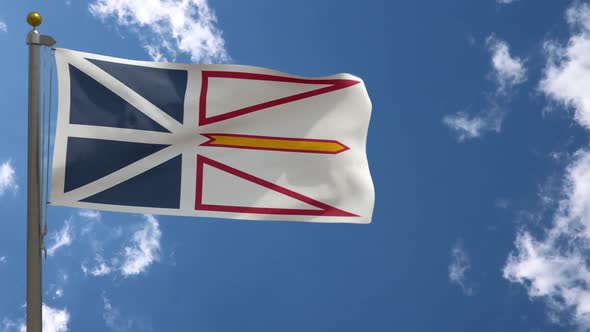 Newfoundland And Labrador Flag (Canada) On Flagpole