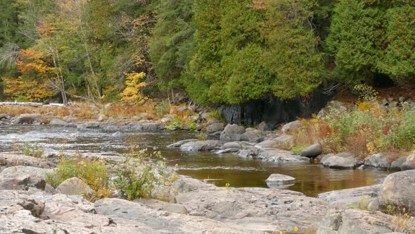 Small bay forming at a river's shoulder at the perfect time of the fall season