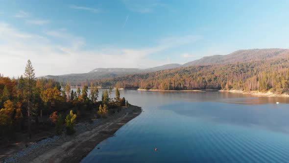 Aerial shot of blue lake surrounded by pine trees.