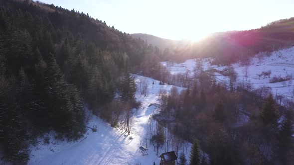 Aerial View of a Snowy Forest with High Pines and Houses Underneath at Sunrise