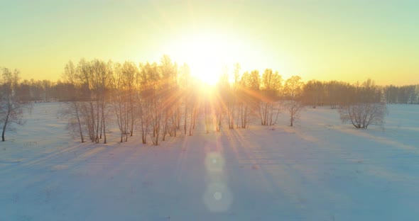 Aerial Drone View of Cold Winter Landscape with Arctic Field, Trees Covered with Frost Snow and