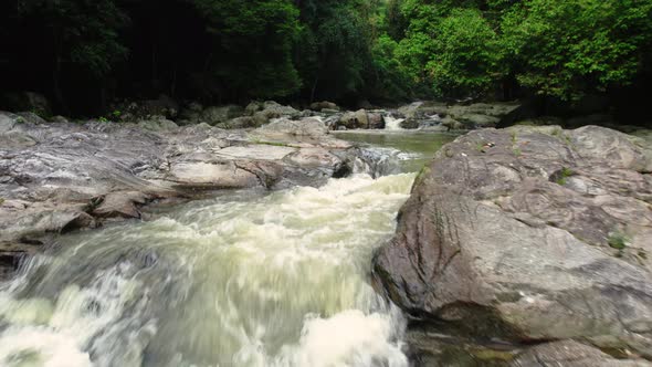 Tropical jungle landscape with trees leaning over fast stream with rapids