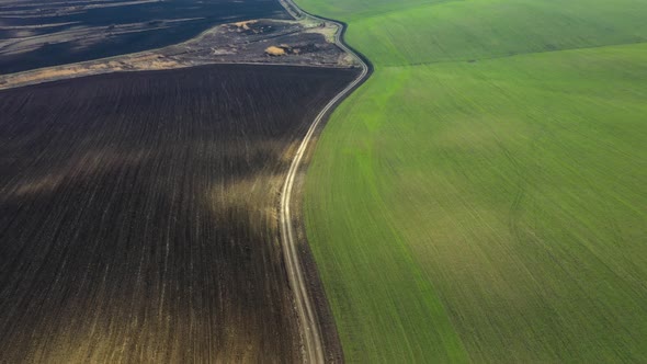 Aerial view of spring field