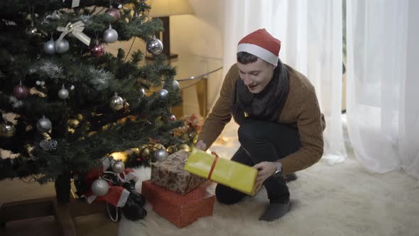 Happy Young Caucasian Man Taking Gift at Christmas Tree and Smiling