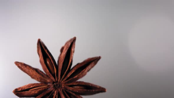 Super Slow Motion of Flying Whole Star Anise Spice