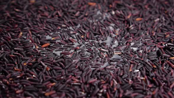 Cooking wild black rice. Falling dry grains into water in slow motion. Close-up. Rotation