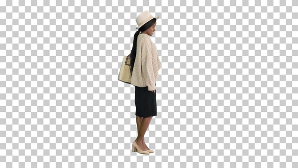Fashionable african american woman posing, Alpha Channel
