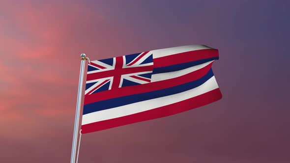 Flag Of Hawaii Waving 4k